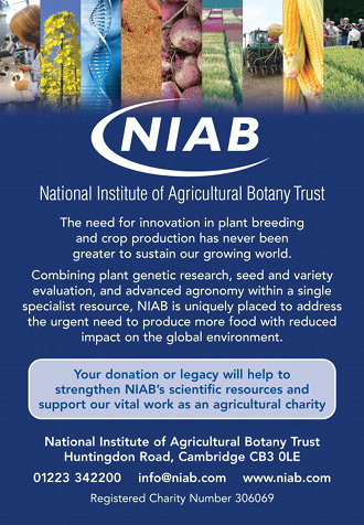 Support our work