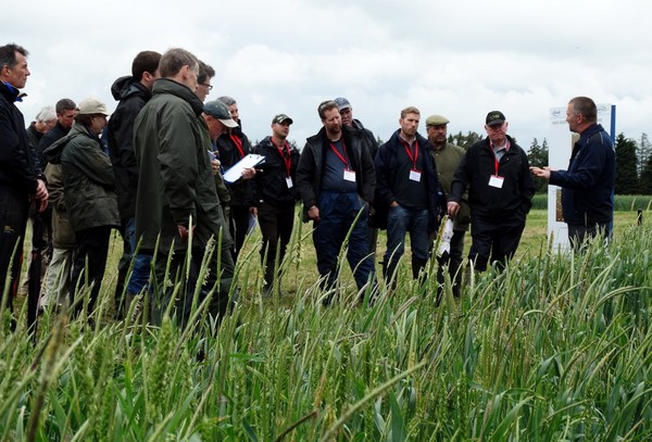 NIAB TAG's John Cussans at the Blackgrass Research Centre Open Day
