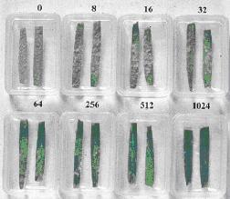 Agchem picture