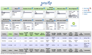 E-barley screenshot