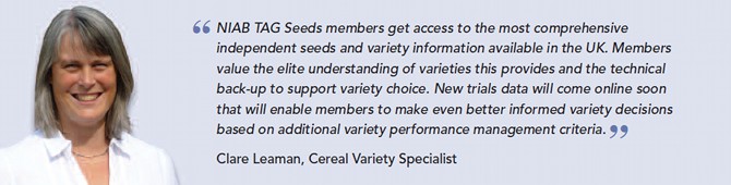 Clare Seeds Quote