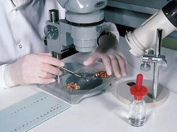 Lab Services