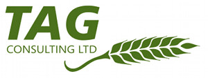 TAG Consulting