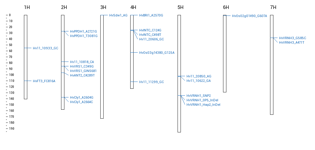 Graphical representation of marker assays