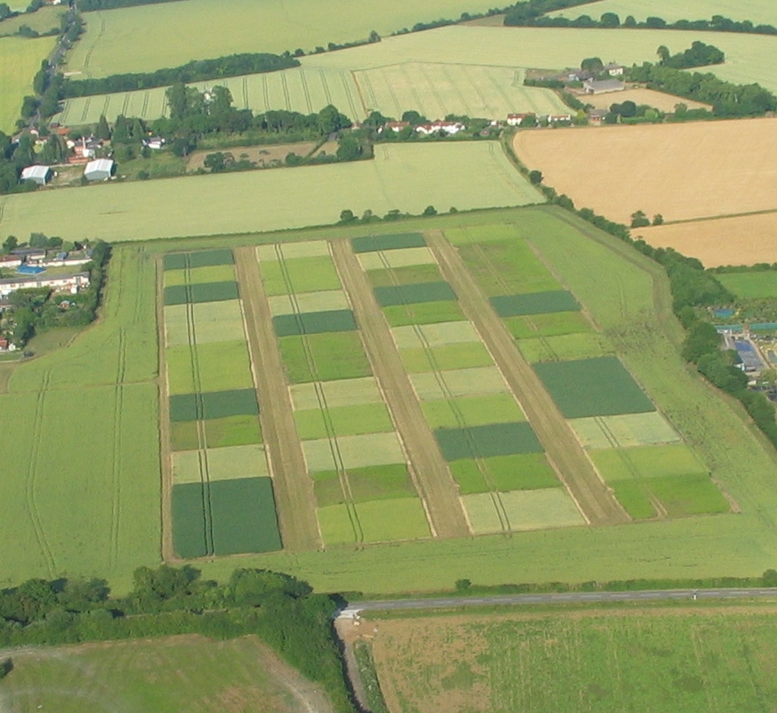 Aerial shot of the STAR site