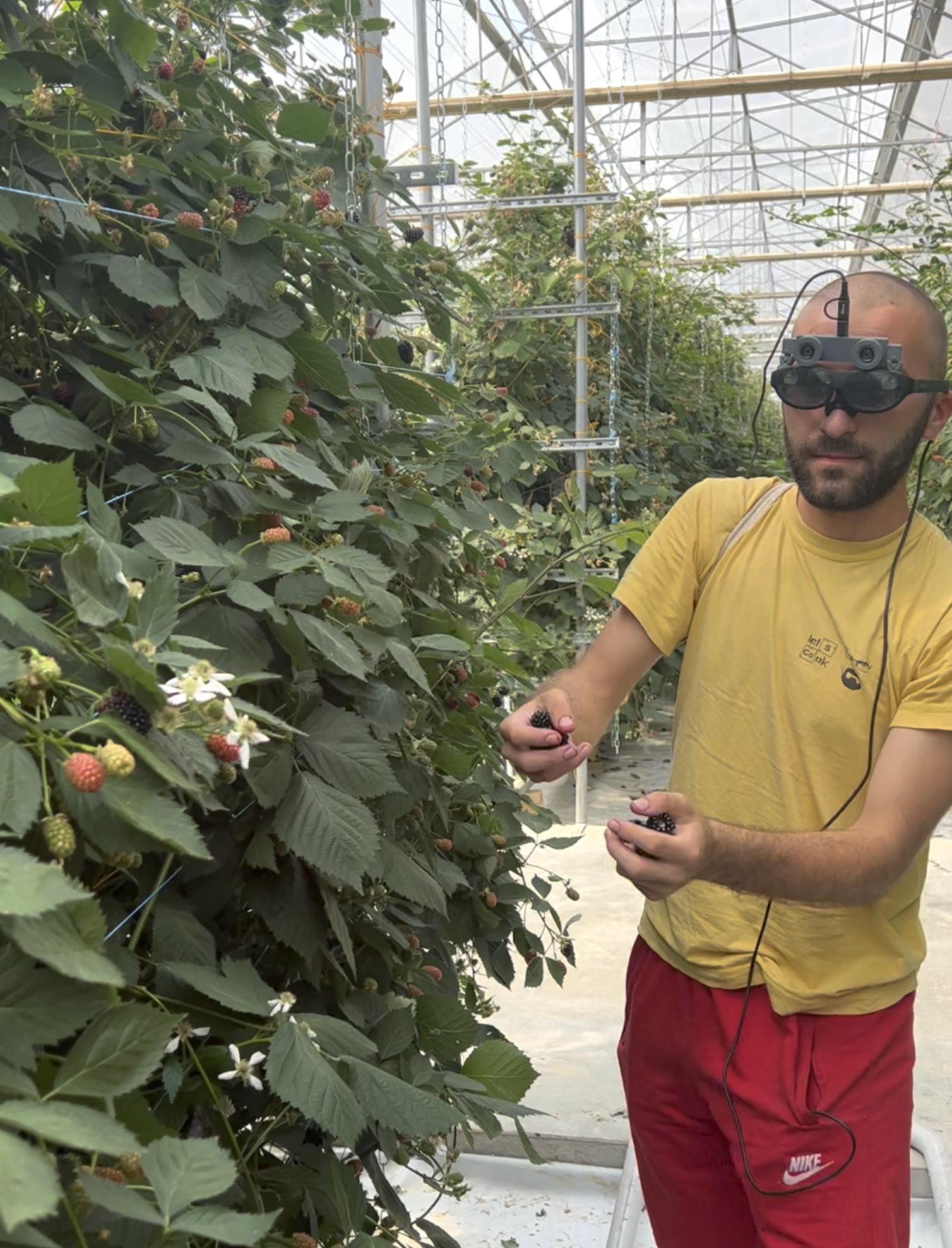 Augmented reality glasses being tested by pickers