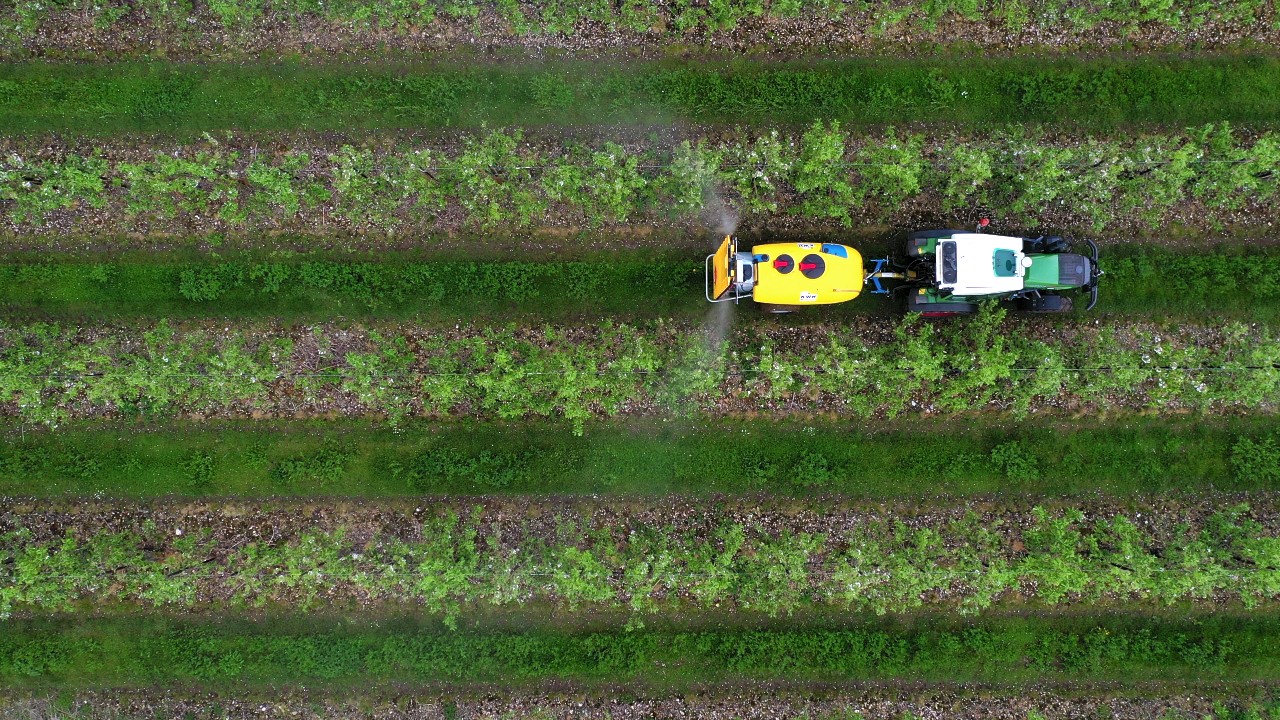 Aerial shot of a tractor spraying in orchard