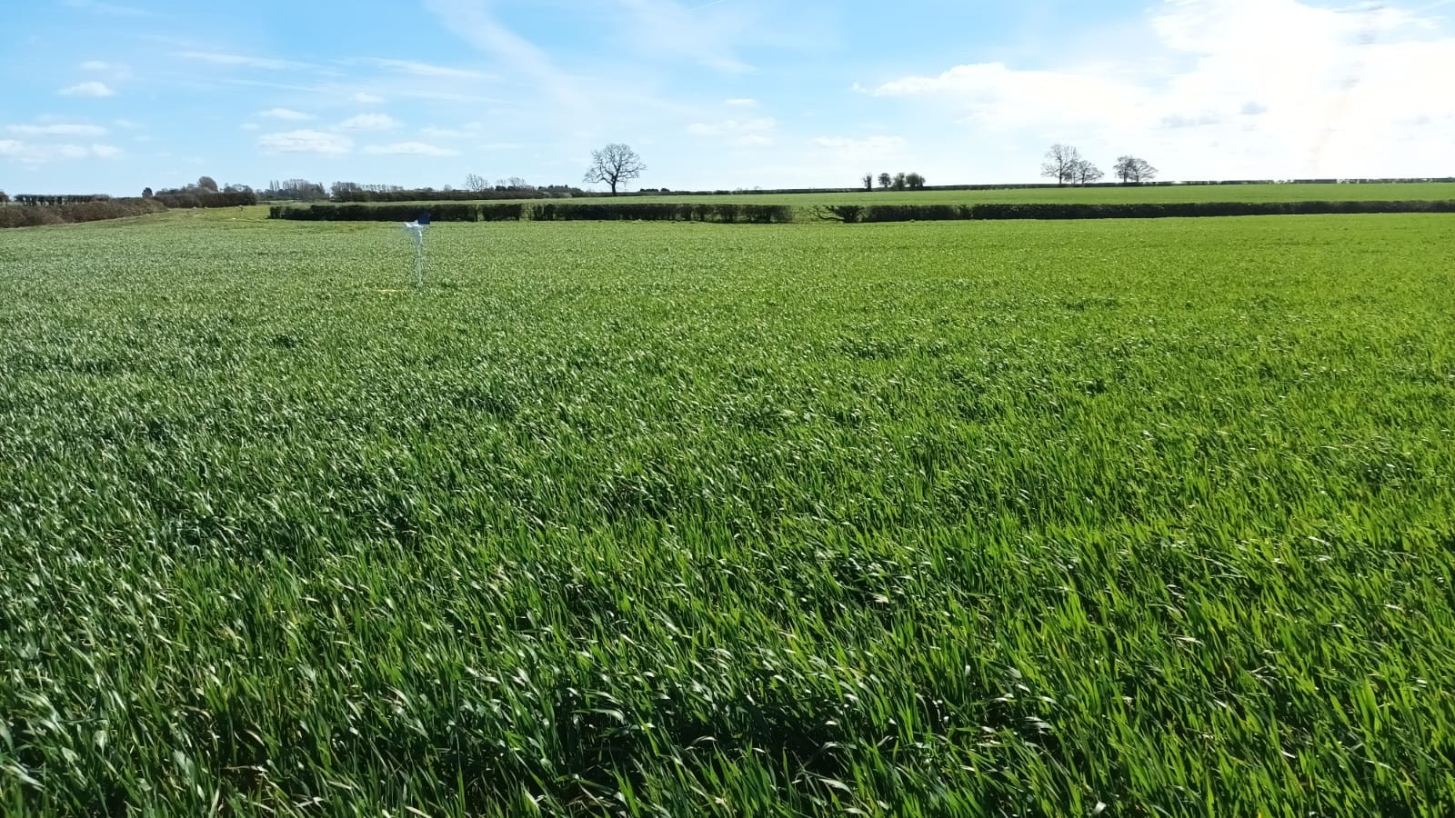 AHDB Strategic Farm Midlands