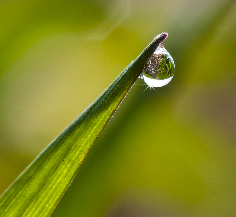 Droplet