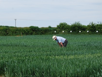 NIAB Headley Hall demo trials