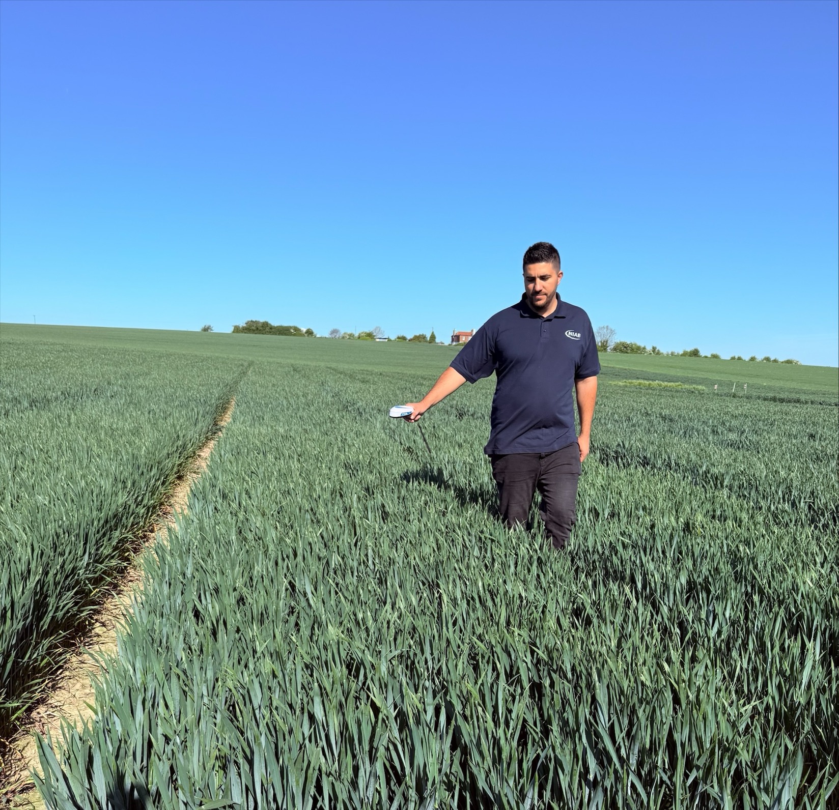 Checking nitrogen levels