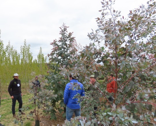 Biomass Open Day - 14 April 2026