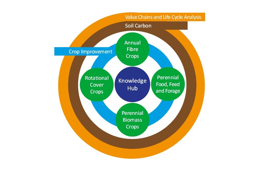 CHCx3 workstreams