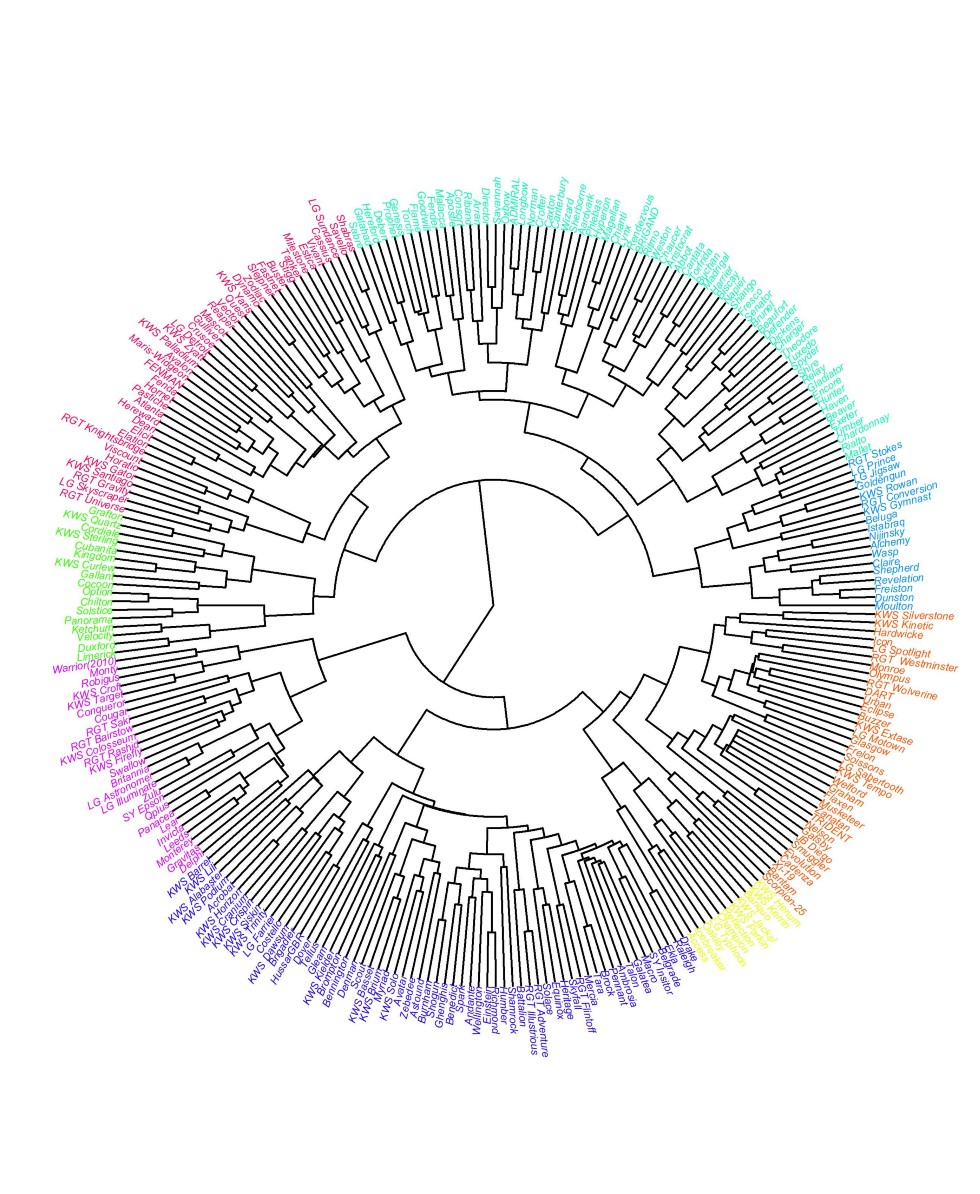 Figure 1c. Dendrogram of wheat varieties relatedness based on pedigree kinship