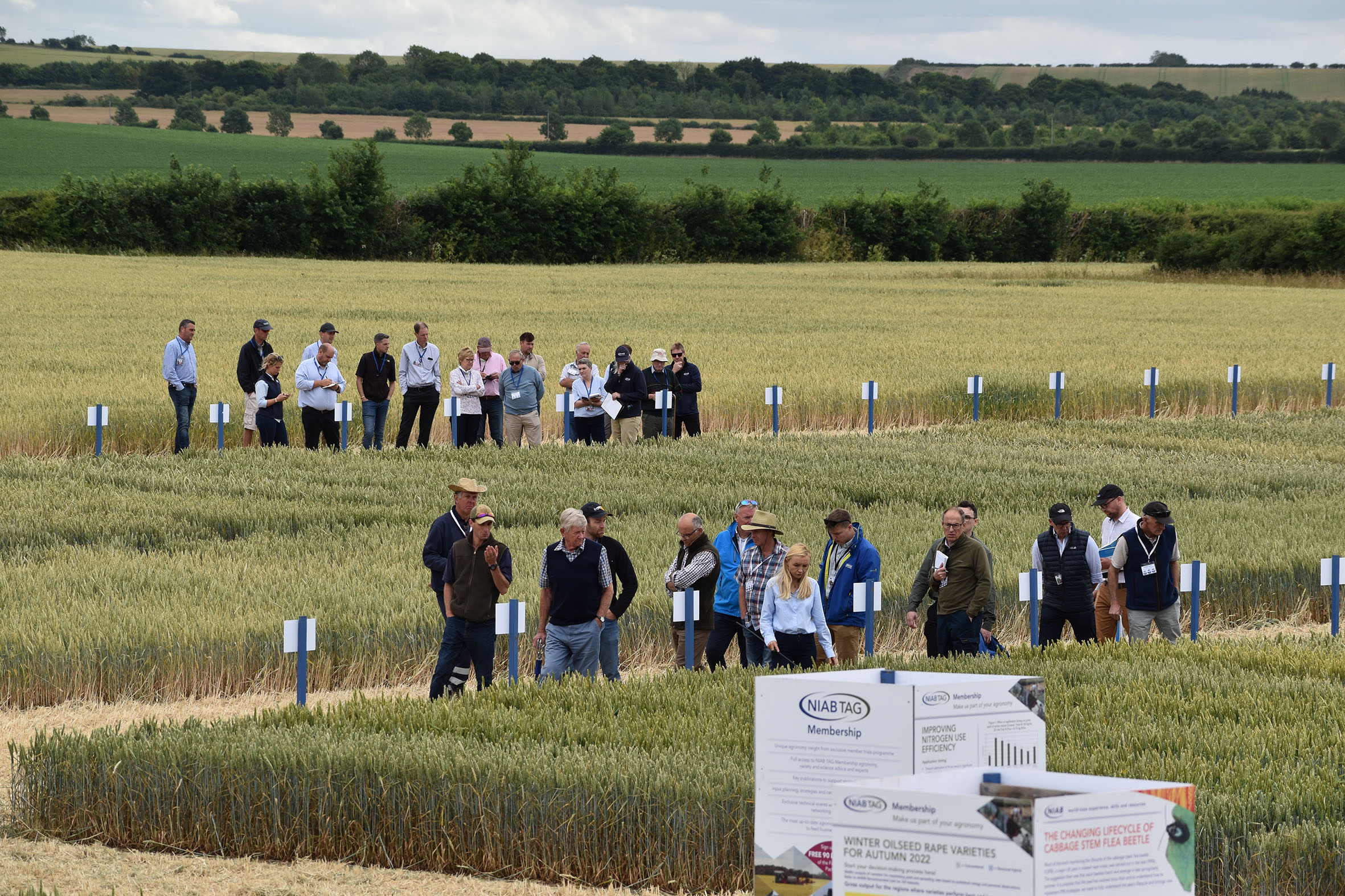 A NIAB Open Day - staff showing visitors around the plots