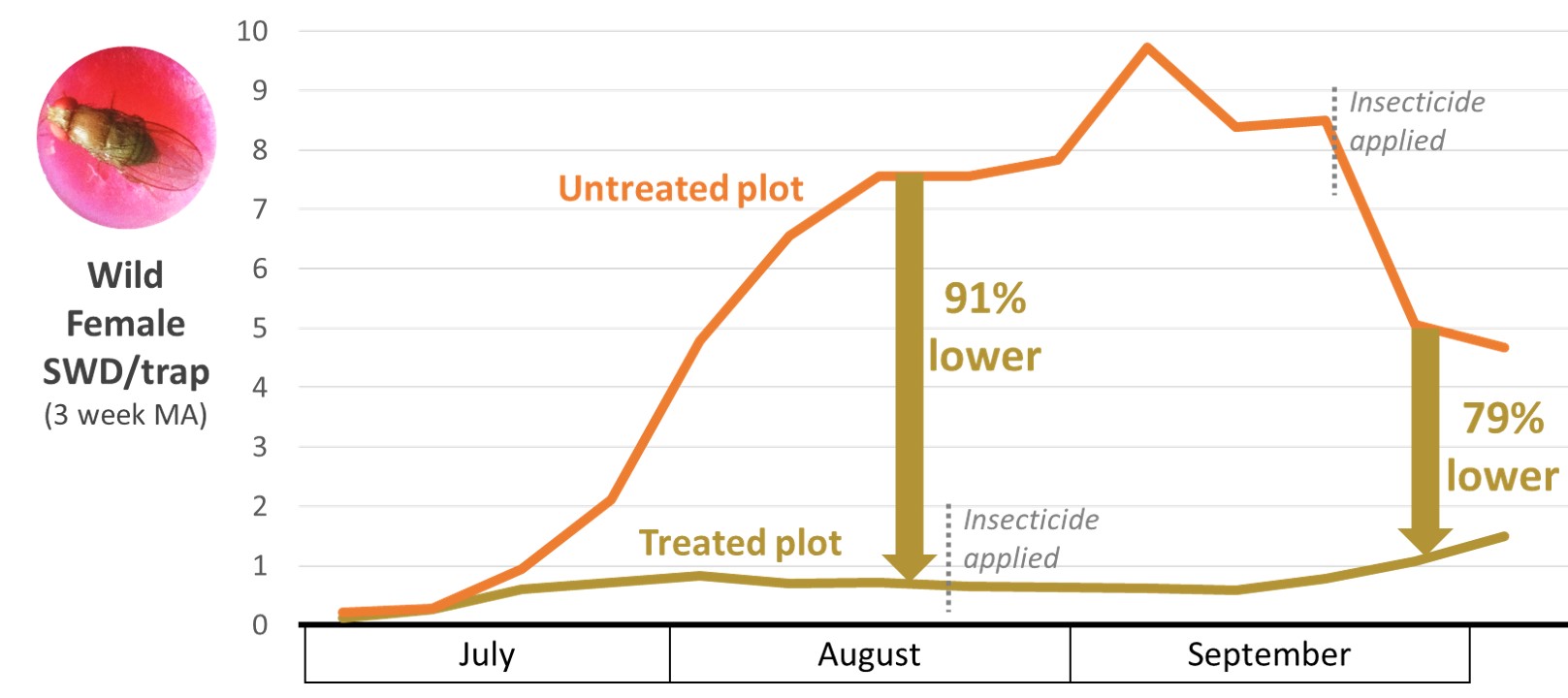 (BigSis_2021) Trial showing how the SIT techniques maintains low populations of SWD compared to the use of crop protection sprays