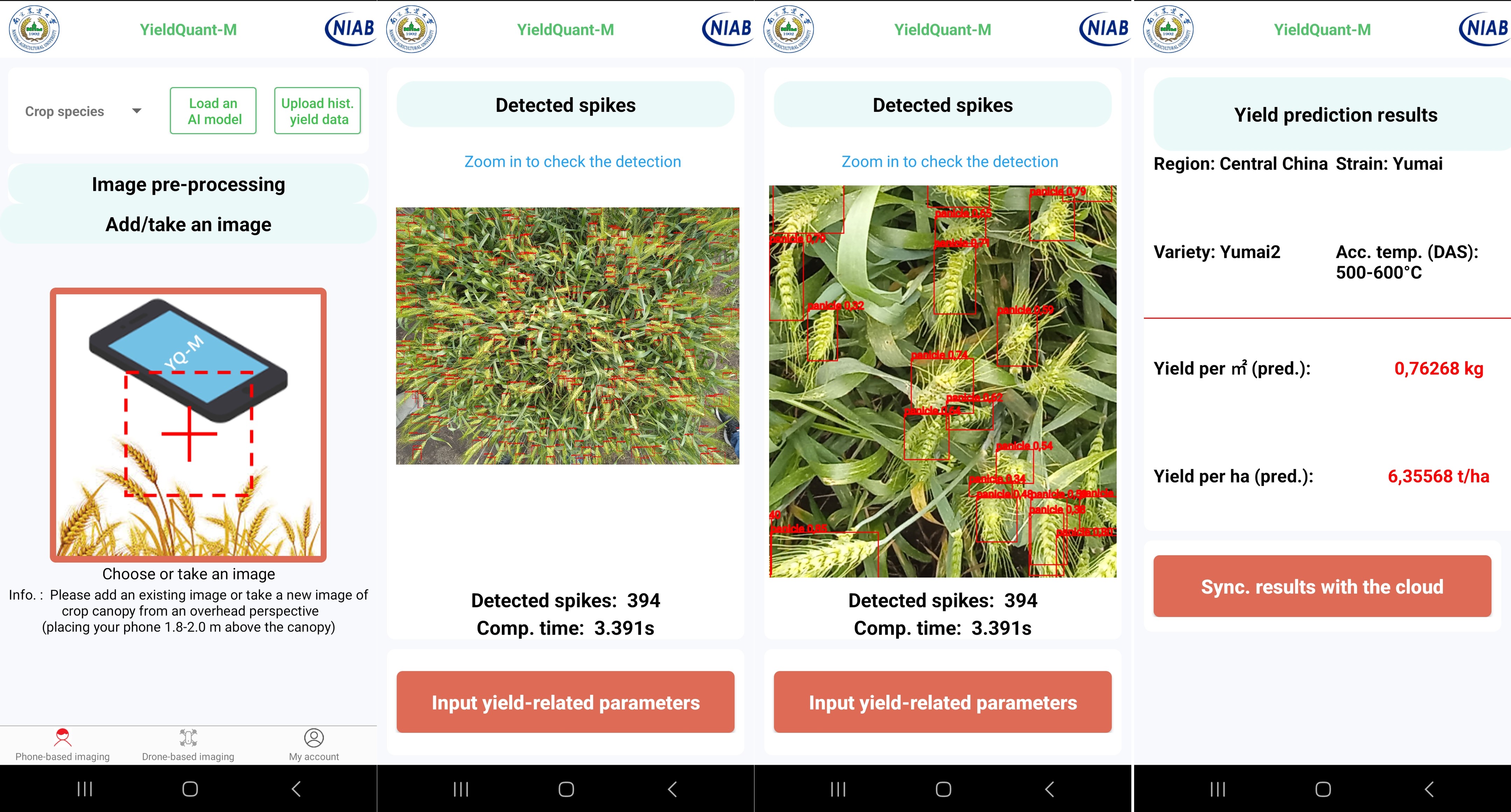 Examples of ear count and yield prediction using the NIAB/Nanjing University YieldQuant-M app