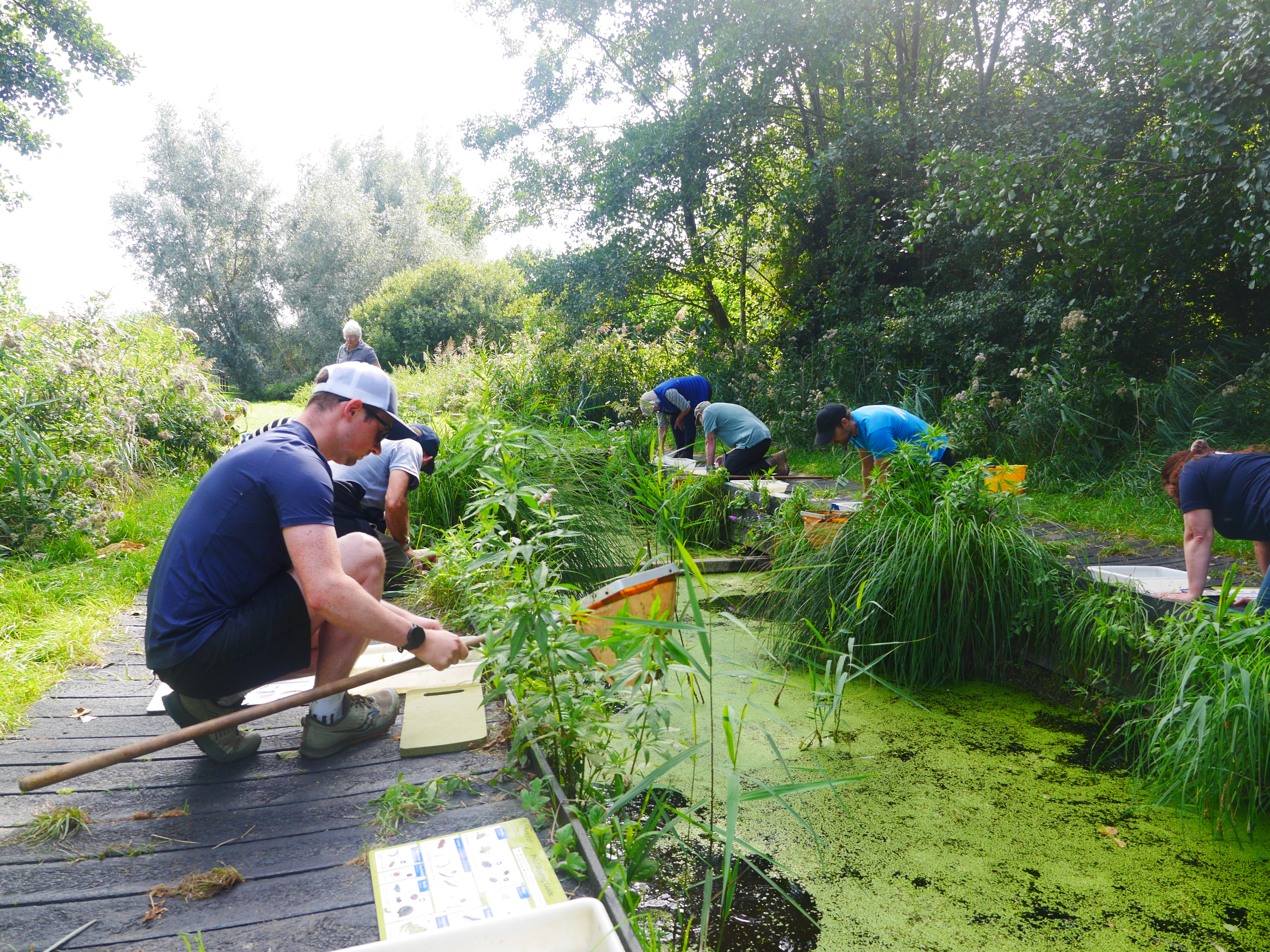 Discovery Group farmers exploring the watery ecosystem of  Fens ditches