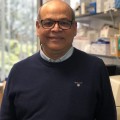 Dr Manash Chatterjee