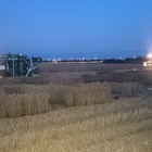 NIAB Cambridge night harvesting next to the A14