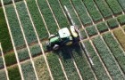 Tractor driving through wheat variety Recommended List trials at Morley, Norfolk