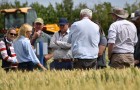 NIAB staff member talking to farmers in a wheat field at a NIAB Open Day