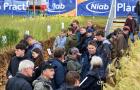 Visitors in the Niab soil hole at Cereals 2026