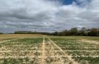Dry field in Kent