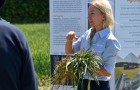 NIAB staff member talking at an event in front of a poster, while holding some wheat plants