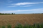 A bare fallow just starting to green up near Cambridge at the end of July 2020.