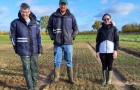 Nathan Morris, Jack Poulden and Eda Knight standing in wheat trials