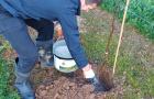 Niab staff member amending soil while planting an apple