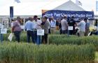 Visitors to the Niab stand at Cereals 2025