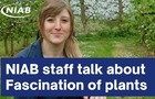 NIAB Staff Member Zoe Clarke and Fascination of Plants Day text