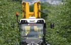 Research into the use of precision dosing sprayers forms part of NIAB’s Tree Fruit technical webinar event
