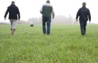 Agronomists walking through a field