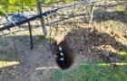 Soil moisture sensors being installed in the plum orchard
