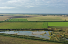 Fenland agriculture
