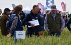 Niab staff talking to visitors at Cereals Event 2024