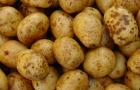 Potataoes