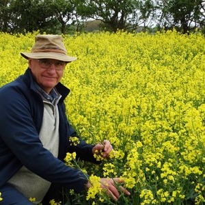 Colin Peters in an oil seed rape field