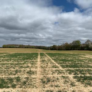 Dry field in Kent