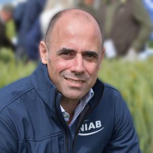 Professor Mario Caccamo in front of a wheat field