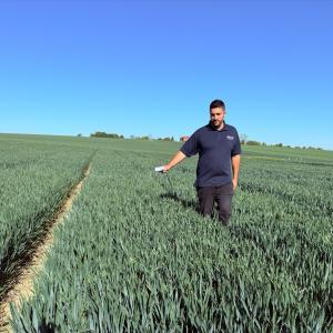 Checking nitrogen levels