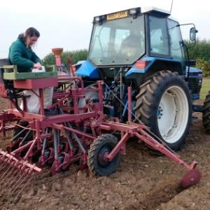 Drilling demo plots at NIAB EMR East Malling