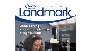 Niab Landmark Issue 59