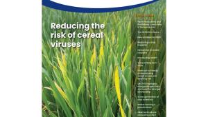 Niab Landmark: Issue 60 (Spring 2026)