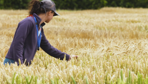 Crop inspector training