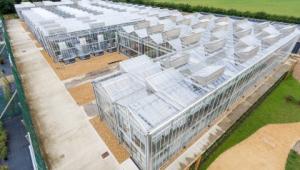 The MacLeod Complex glasshouse at NIAB's Park Farm, Histon near Cambridge