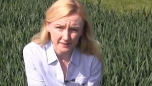 Dr Aoife O' Driscoll sitting in a winter wheat demonstration plot